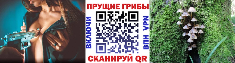 Галлюциногенные грибы мухоморы  Новая Усмань 