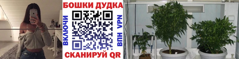 Бошки марихуана планчик  Новая Усмань 